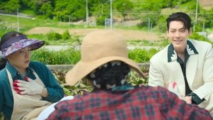 dRfNh05bQ5DTtZiFCO6lerUZXma